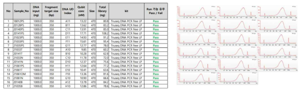 위암 조직 및 혈액에서 추출한 DNA의 QC 결과 (일부). 검체 모두 QC pass하여 Library 제작함. library peak size 와 distribution 이상 없음 확인하여 WGS 진행함