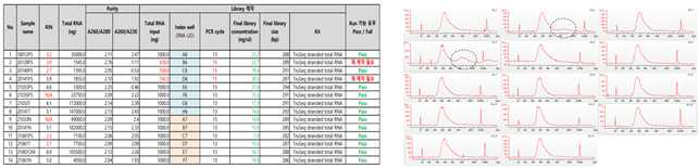 위암 조직에서 추출한 RNA의 QC 결과 (일부). 1차 제작 14개 RNA library중 PCR artifacts >10% 2개 관측됨. library 재 제작하여 total RNA seq 진행