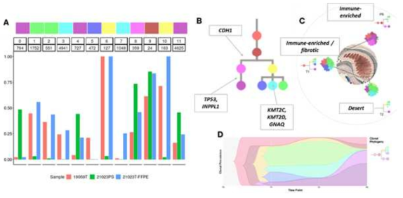 21023 환자의 클론 진화 과정을 보여주는 사례. A. Pyclone-VI 클러스터링 결과. 첫째 줄은 클러스터 번호를, 둘째 줄은 해당 클러스터 내 돌연변이 수를 나타냄. B. 클론 트리. Driver 유전자들이 관련된 가지에 주석으로 표시되어 있음. C. 샘플 위치에 따라 표시된 세포 선도도 지도. 각 샘플의 종양 미세환경이 표시됨. D. 클론 진화 타임라인. PS와 T2 샘플은 동일한 시점에서 시퀀싱됨