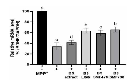 Effect of heat-treated fermented BS-CM on gene expression of BDNF in MPP+-stimulated SH-SY5Y cells