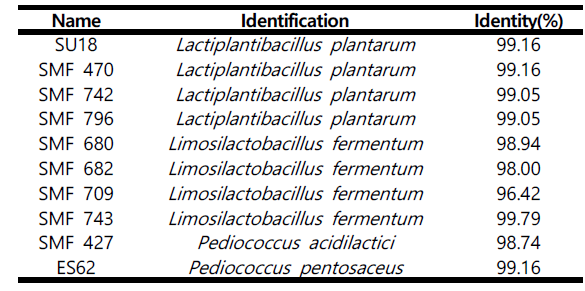 Identification of LAB strains