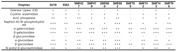 Enzyme activities of LAB strains using API ZYM kit