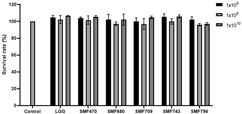 Cytotoxicity of heat-killed LAB strains by concentration to HT-29 cell