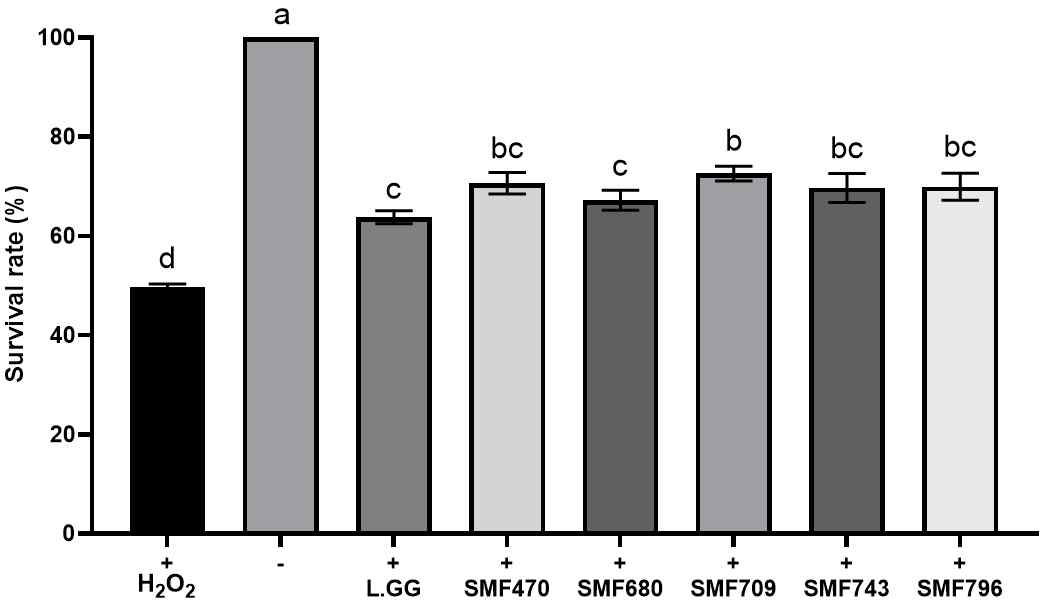 Protective effect of oxidative stress on SH-SY5Y cells in heat-killed LAB-CM