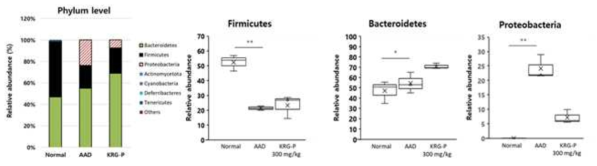 KRG-P에 투여에 따른 마이크로바이옴 변화 분석