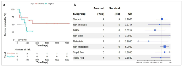 NUT 암종 환자의 생존 및 예후 분석 a) Kaplan-Meier survival analysis, b) Subgroup Analysis