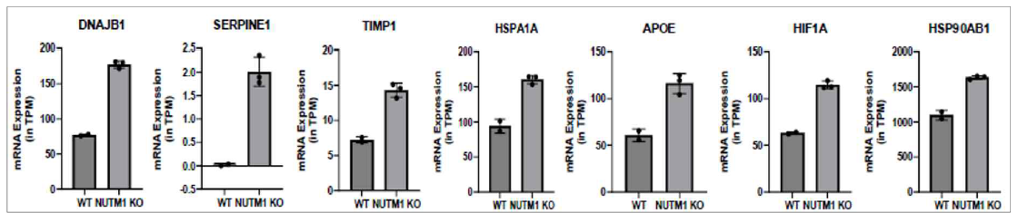 CRISPR/Cas9 투약 전/후 샘플을 이용해 RNA 시퀀싱으로 분화 마커들의 발현량 변화를 도식화함