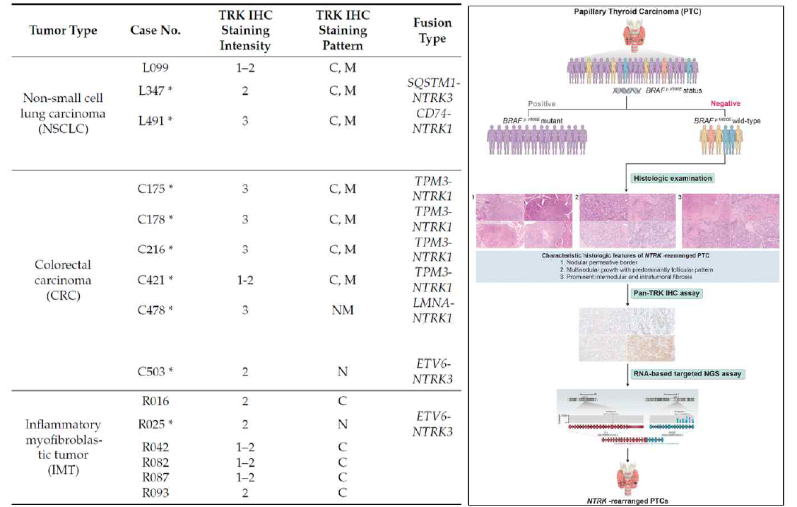 원인을 알 수 없는 희귀 고형암에서 NTRK 융합유전자 양성 케이스를 발굴하고(Diagnostics (Basel), 2022), 종양에서 NTRK 융합유전자 양성 환자 발굴을 위한 알고리즘을 제시(Mod Pathol, 2023)