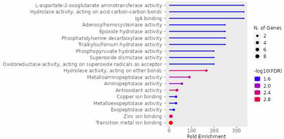 ARDS 유발 7일차 Gene ontology molecular function분석