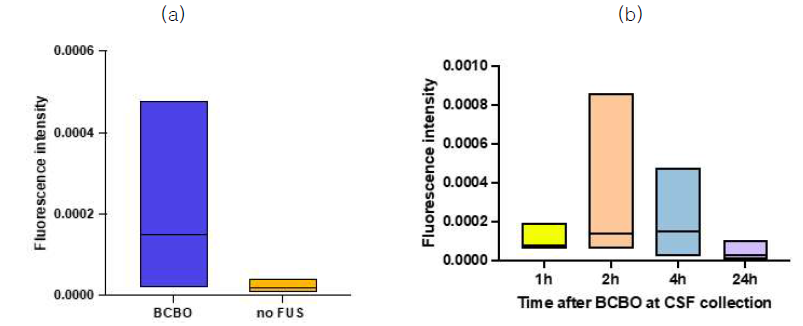 BCB 개방여부에 따라 cisterna magna에서 수집한 CSF에서의 형광신호 분석 (a)과 post-BCB개방의 시간에 따른 형공신호변화 분석 (b). 1,500 kDa 크기의 분자량을 가진 dextran의 형광신호가 FUS+MB에 의한 BCB 개방에 의해 cisterna magna에서 수집된 CSF 샘플에서 발현됨을 확인함 (a). 또한, 그 신호의 시간별 차이를 분석한 결과 BCB 개방 후 2시간 후 CSF 샘플에서의 형광신호가 가장 높게 나타났으며, 그 후로는 신호가 감소되는 것을 확인함