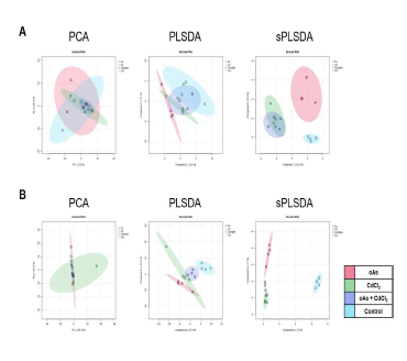 H19/IGF2 도메인의 후성유전학적 변이가 유도된 독성금속 단독 또는 복합노출에 의한 대사체의 변화 주성분 분석 결과 (A) ESI positive mode, (B) ESI negative mode. 생물학적 반복 횟수를 4회로 하였고 빨간색은 oAs, 초록색은 CdCl2, 남색은 oAs + CdCl2 복합노출, 하늘색은 비노출 대조군임. 고찰: 고해상도 질량분석기기를 이용해 각각 ESI positive, negative mode로 측정한 결과, sPLSDA, PLSDA, PCA 분석 순으로 중금속 노출 간의 대사체의 차이를 잘 표현하였음