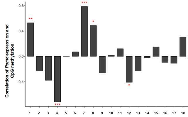 Pomc 전사 레벨과 프로모터 내 CpG 메틸화 레벨 간의 상관관계(Pairwise correlation by Spearman’s test) 분석 결과. 고찰: 복합노출 특이적인, 통계적으로 유의미한 음과 양의 상관관계를 나타내는 개별 CpG loci를 확인하였음