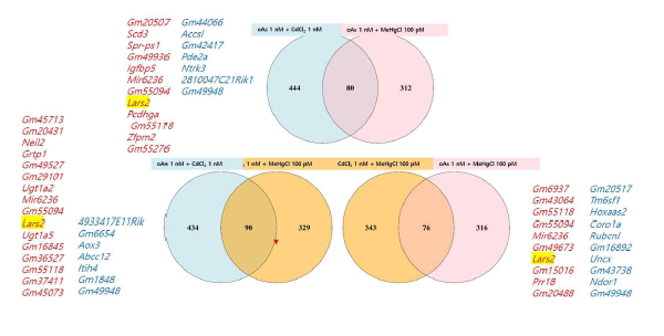 Pomc의 후성유전학적 변이가 유도된 독성금속 복합노출 조건에서 GT1-7 세포주의 RNA sequencing 분석 결과, 각각의 조건별 비노출 시료 대비 차등발현유전자들(differentially expressed genes, DEGs)의 수를 나타낸 Venn diagram. 빨간색 유전자는 Up-regulated, 파란색 유전자는 down-regulated로 구분. 고찰: 세 종류의 복합노출 조건에서 모두 발현이 활성화된 유전자는 Leucyl-tRNA synthetase 2(Lars2)(노란 상자로 강조)이며, Pomc 발현 변화와 동반하는 마커 유전자 후보로서 현재 qPCR 정량분석을 통해 검증실험을 수행 중임