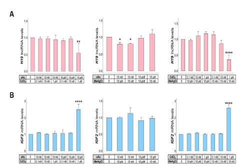 3종 독성금속 복합노출 시 각인 유전자 H19/IGF2 도메인의 발현 변이 정량분석 결과. 고찰: 두 각인 유전자들 모두 oAs + CdCl2 복합노출 조건과 CdCl2 + MeHgCl 복합노출 조건에서 각각 H19의 전사 감소와 IGF2의 전사 증가 양상이 통계적으로 유의미하게 나타남