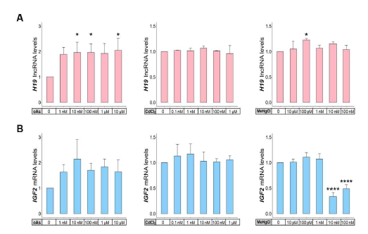 3종 독성금속 단독노출 시 각인 유전자 H19/IGF2 도메인의 발현 변이 정량분석 결과. 고찰: 유기비소 단독노출 시 H19 lncRNA의 발현 증가와 유기수은 단독노출 시 IGF2 mRNA의 발현 감소가 통계적으로 유의미하게 나타남