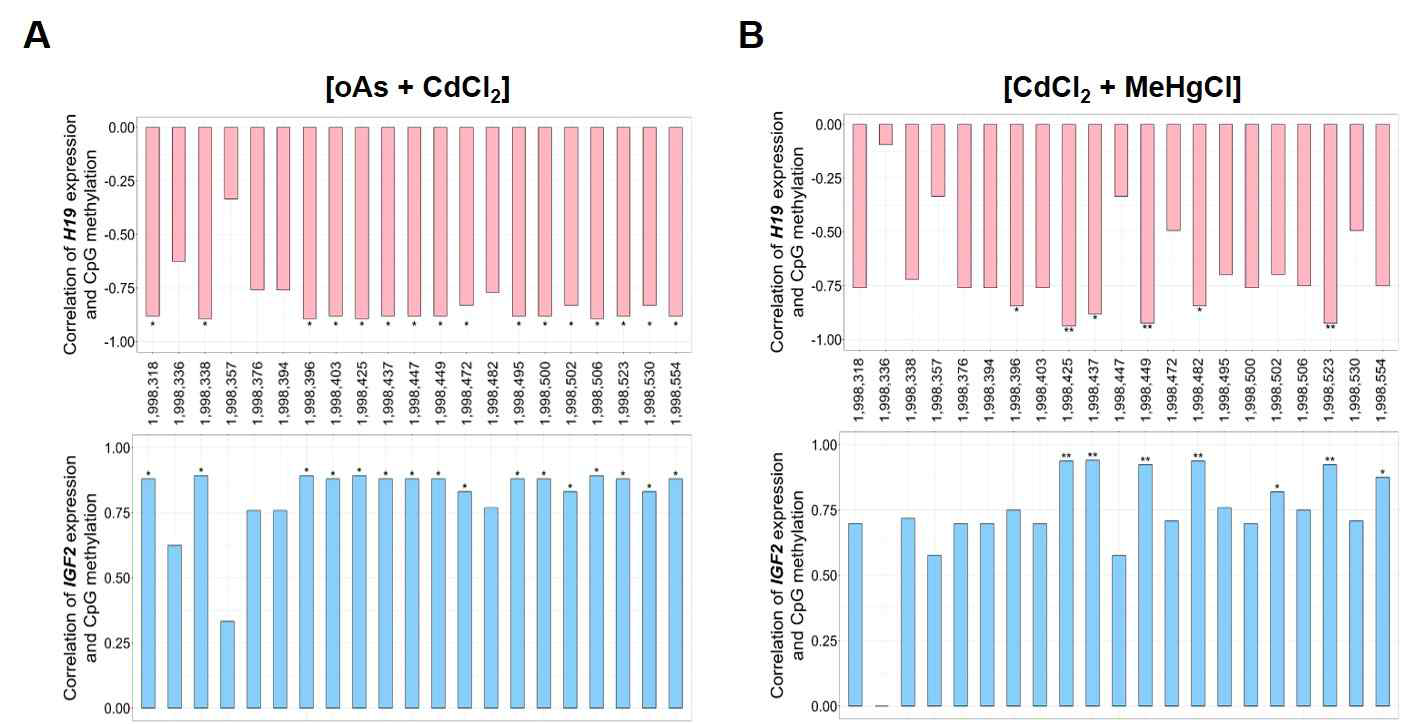 H19/IGF2 전사 레벨과 H19 DMR 내 CpG 메틸화 레벨 간의 상관관계(Pairwise correlation by Spearman’s test) 분석 결과. (A) oAs + CdCl2 복합 노출 조건, (B) CdCl2 + MeHgCl 복합노출 조건에서 H19/IGF2 전사 레벨과 CpG 메틸화 레벨 사이의 상관관계. 고찰: 두 종류의 복합노출 조건 모두에서 H19 DMR 부위의 CpG 메틸화가 각각 통계적으로 유의미한 H19 lncRNA 발현과 음의 상관관계, IGF2 mRNA 발현과 양의 상관관계를 나타냄(*p < 0.5, **p <0.01)