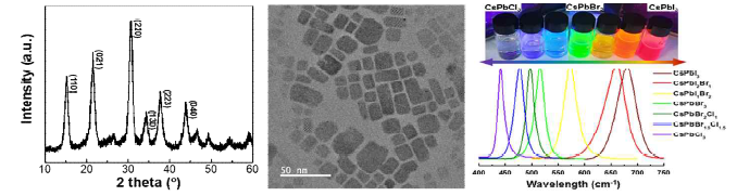 합성된 나노입자 분말의 XRD pattern, TEM image, PL 및 UV 발광