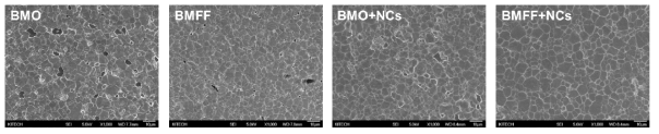 BMO (비교군)과 BMFF (최적의 페이스트)의 박막 및 최적의 미세 구조를 위해 나노입자를 첨가한 사진