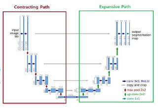 U-net architecture