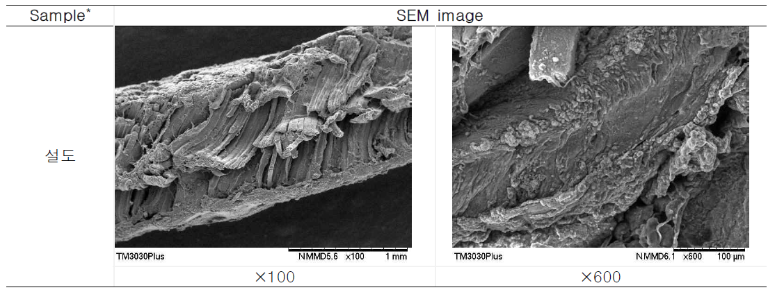 Cross-sectional SEM image of bottom round