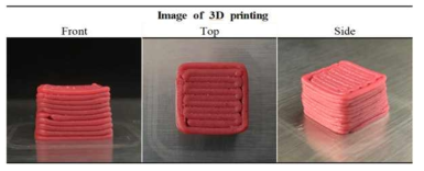 Appearance views of 3D structure of printed optimal meat analogs