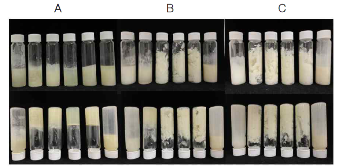 Morphology of phytosterol. A, 8% Phytosterol; B, 16% Phytosterol; C, 20% Phytosterol. From left to right β:γ = 100:0, 80:20, 60:40, 40:60, 20:80 and 0:100