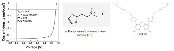 ThI 첨가제와 BCPN 기능층을 도입한 p-i-n 페로브스카이트 소자의 성능