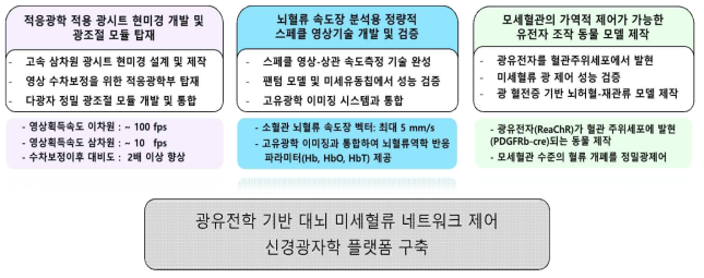 대뇌 미세혈류 분석 및 광조절용 신경광자학 통합 플랫폼 연구범위 및 평가착안점