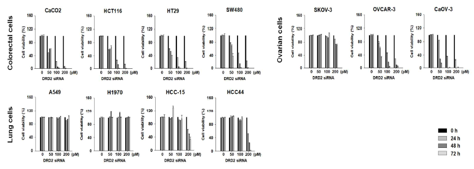 DRD2 발현 억제에 의한 주요 암종 유래 세포주들의 세포 사멸
