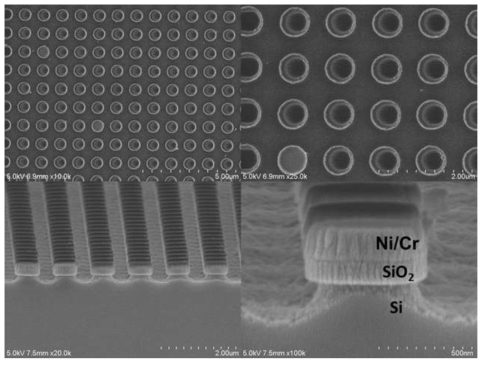 Ni/Cr/SiO2 나노마스크가 형성된 Si 기판의 SEM이미지