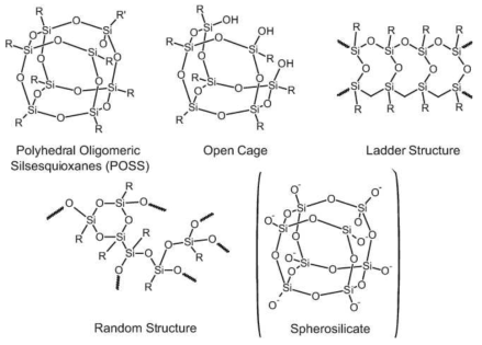 다양한 형태의 Silsesquioxane의 화학구조