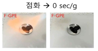F-GPE 젤 전해질 SET 측정