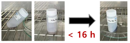 Sulfone 계열 고분자 젤 전해질