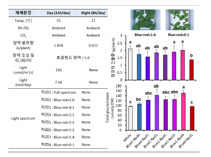 광환경 조절을 통한 청경채 생산량 및 total glucosinolate 함량 증대