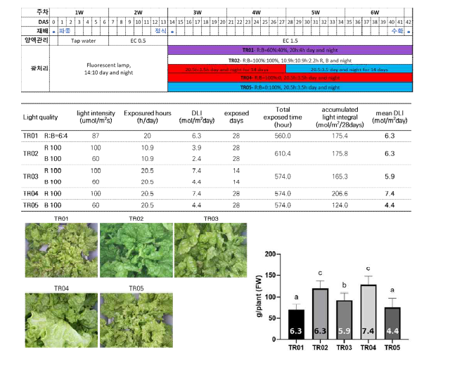 식물재배시스템 광환경 제어 기능 활용 상추 재배레시피 개발