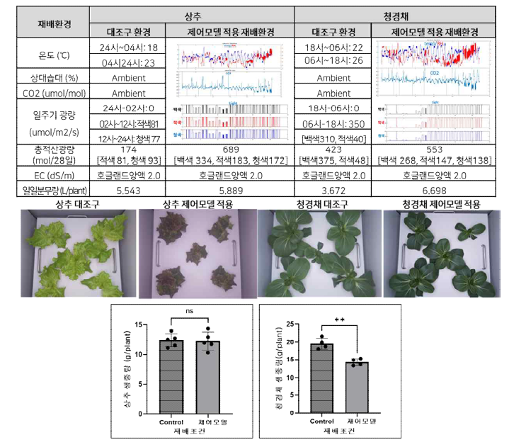 상추 및 청경채 대상 지능형 재배환경 제어기술 실증 테스트