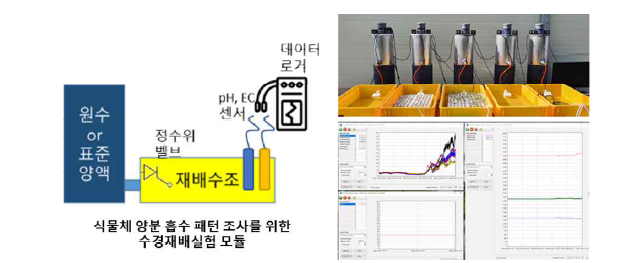 식물체 양분 흡수 패턴 조사를 위한 수경재배 모듈 및 실시간 계측 체계