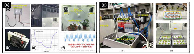 식물재배시스템 재배환경 복합제어 모듈 고도화. (A) 열전소자 및 환경측정 센서 설치, 복합 환경 제어 기능 구현, (B) 양액 공급 모듈