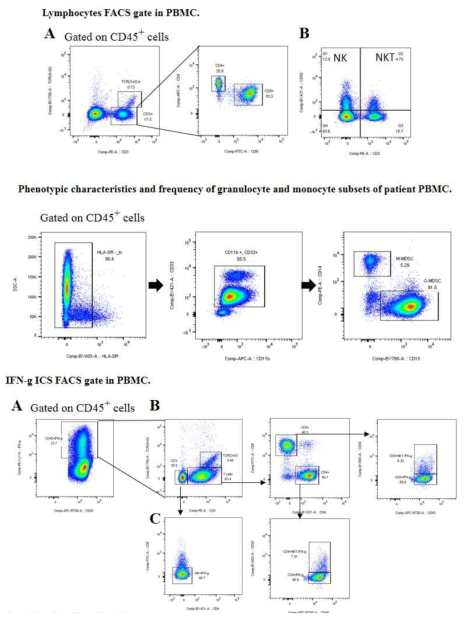 PBMC를 이용한 유세포분석 gating strategy