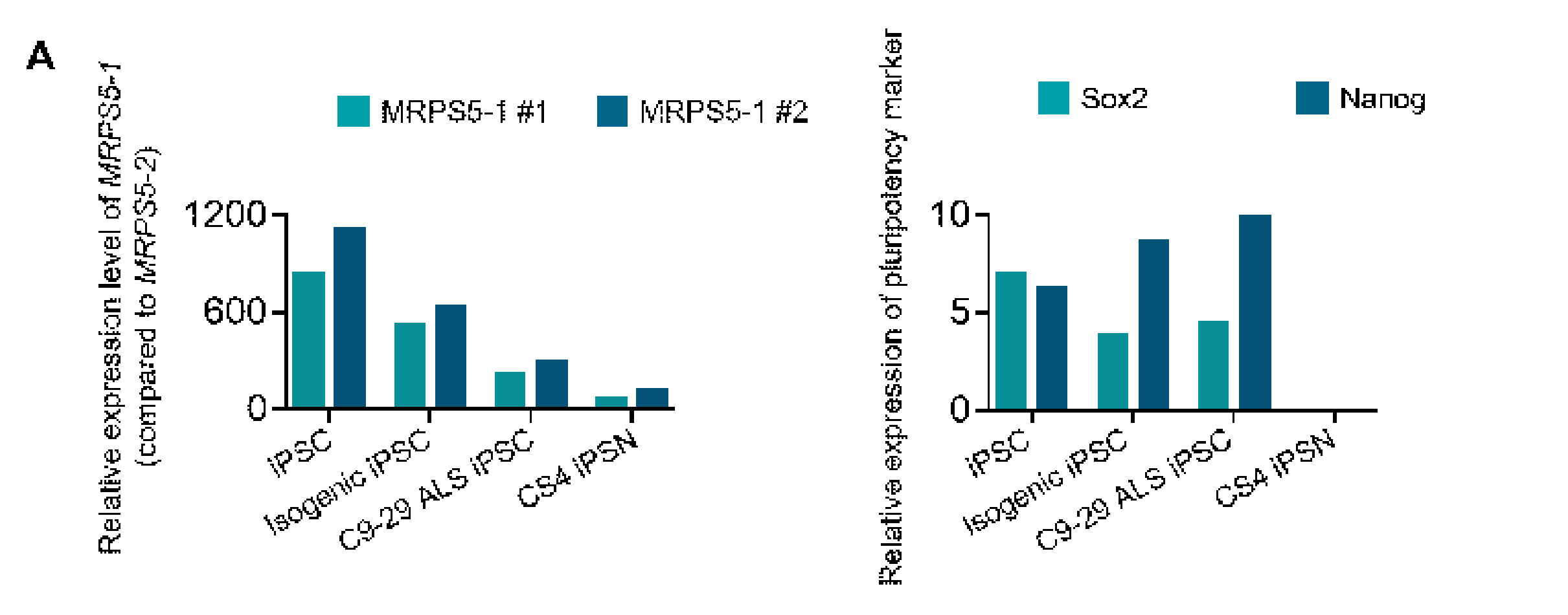 qPCR을 통한 MRPS5 isoform-specific expression 확인