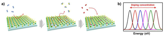(a) 본 연구에서 제안하는 2차원 단결정 소재의 도핑 방법 및 (b) 도핑에 따른 물성 변화