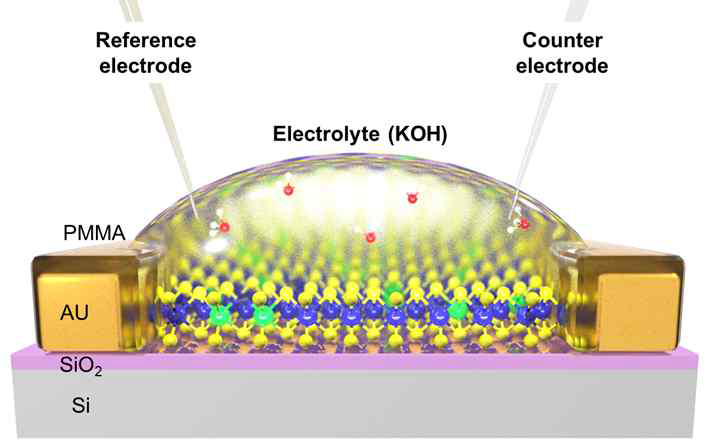 Electrochemical microcell 활용 수전해 특성 분석 모식도