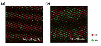 Re0.75Mo0.24S2 와 Re0.6Mo0.4S2의 STEM 분석