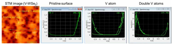 V-doped WSe2의 STM 및 STS 분석