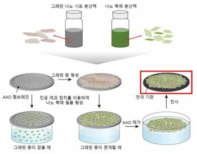 그래핀 층을 활용한 촉매 필름 제조 공정의 모식도