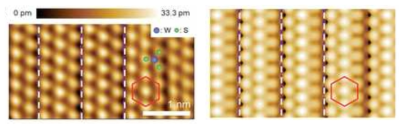 금 (221) 면 위 단결정 WS2 박막의 STM 이미지