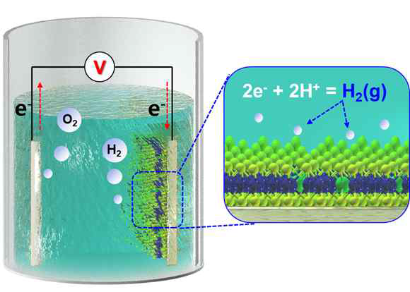 2차원 소재를 활용한 수전해 모식도