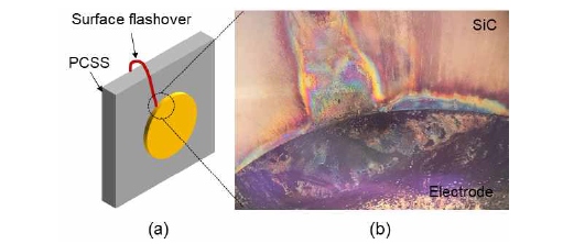 (a) 소자 표면섬락현상 (Surface flashover) 모습 (b) 소자전극파괴 이후 현미경 사진