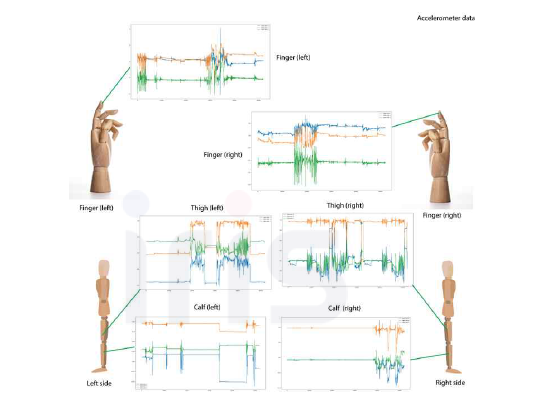 신체 부위별 일상 동작 가속도 데이터 예