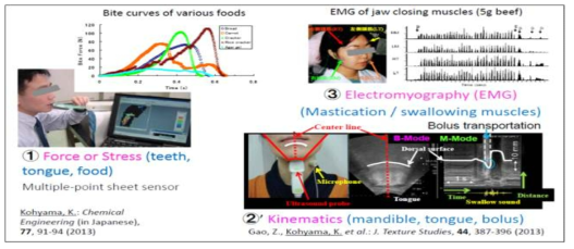 질감의 구강측정을 통해 개인별 저작 능력을 간접적/객관적으로 측정